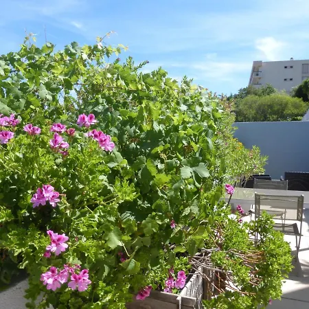 Le Grand Bleu La Ciotat
